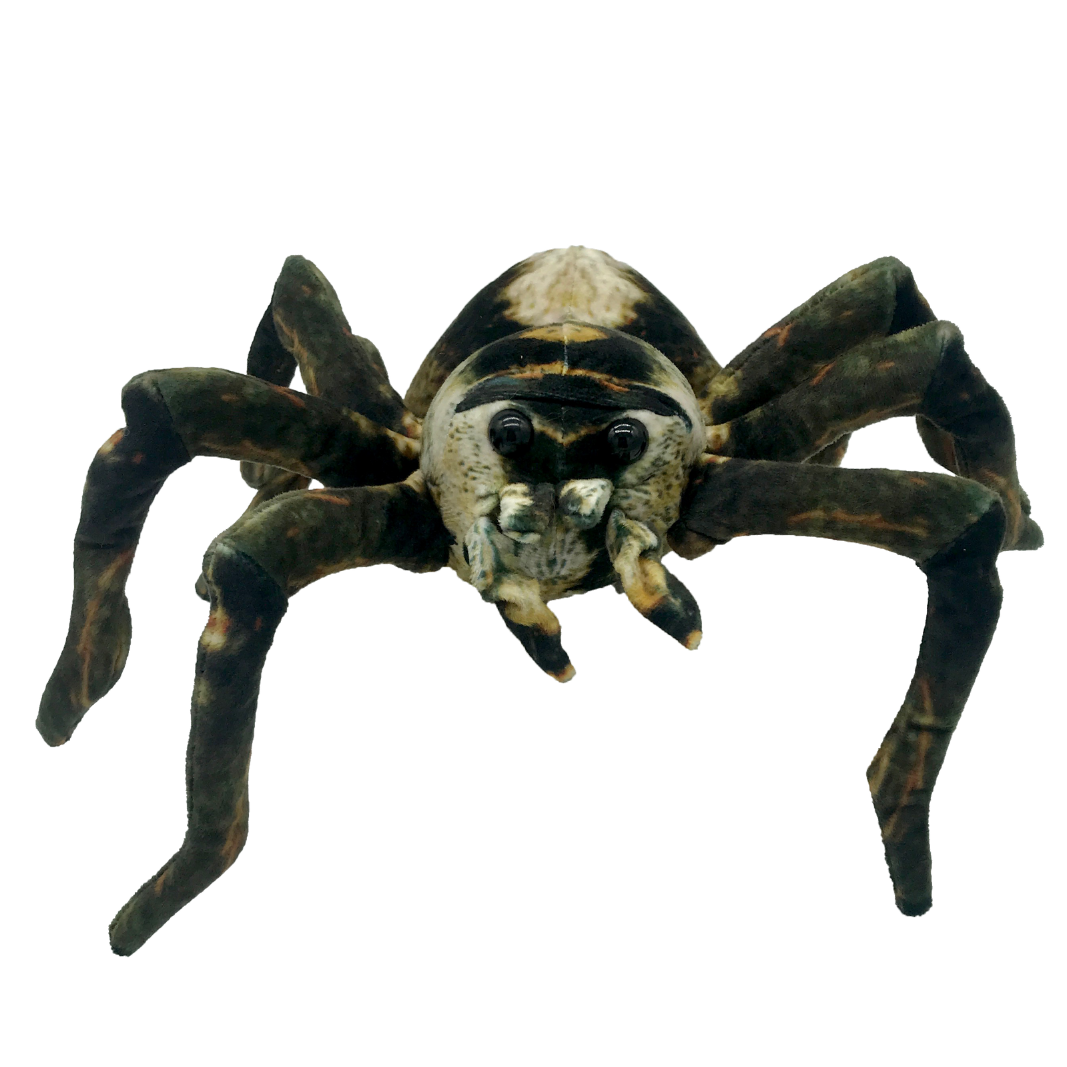 Front view image of Spider Sebastian plush toy