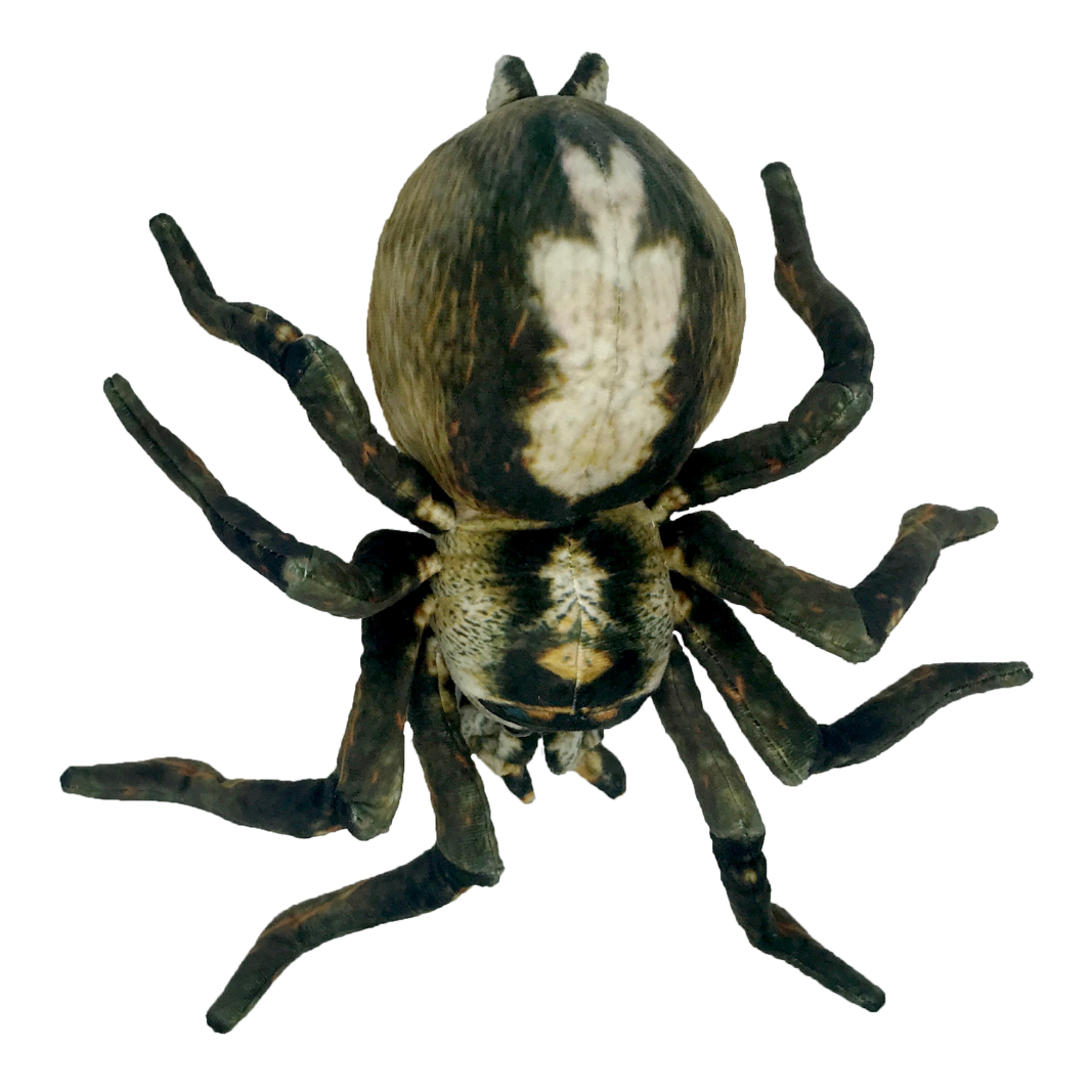 Top view image of Spider Sebastian plush toy