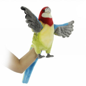 Image of Eastern Rosella Puppet 