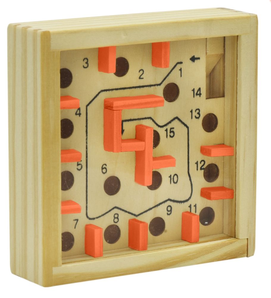 Front view image of Project Genius The Great Coral Maze 