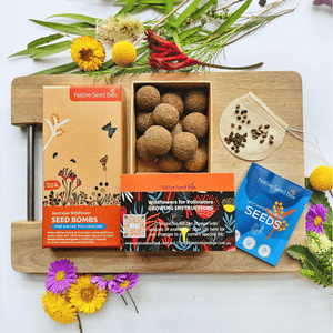 Image of packaging and contents of Native Seed Box's Australian Wildflow Seedbombs for Native Pollinators.