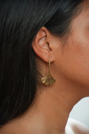 Image of ginkgo leaf shaped drop earring in gold finish hanging in ear.