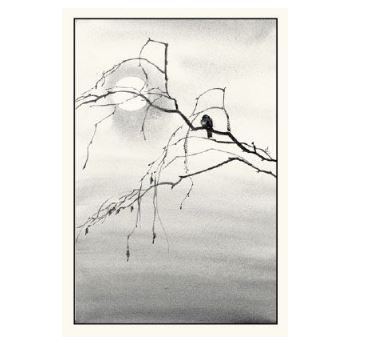 Image of gift card by Elise Hurst showing black and white watercolor picture of a bird on a branch with no leaves, on a background of the sun and clouds.
