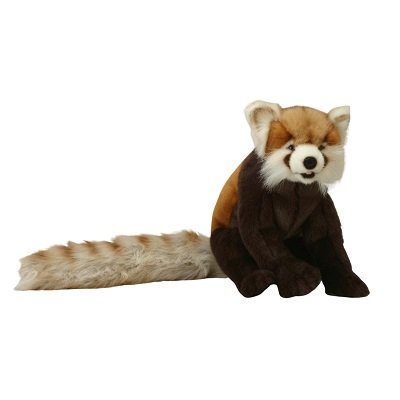 Front view image of red panda plush toy, showing brown, white and cream panda with long bushy tail.