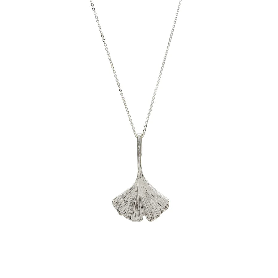 Image of ginko leaf shaped silver pendant on silver chain on white background.