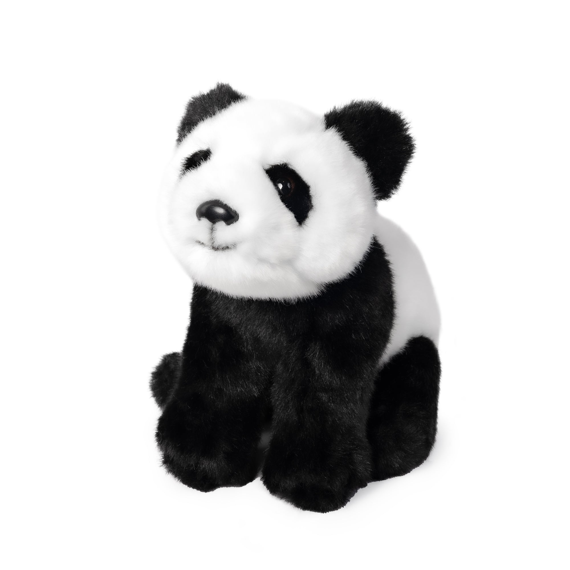 Image of Panda Cub Plush, showing black and white fluffy panda cub plush sitting with its font paws on the ground in front of its hind legs, on white background.
