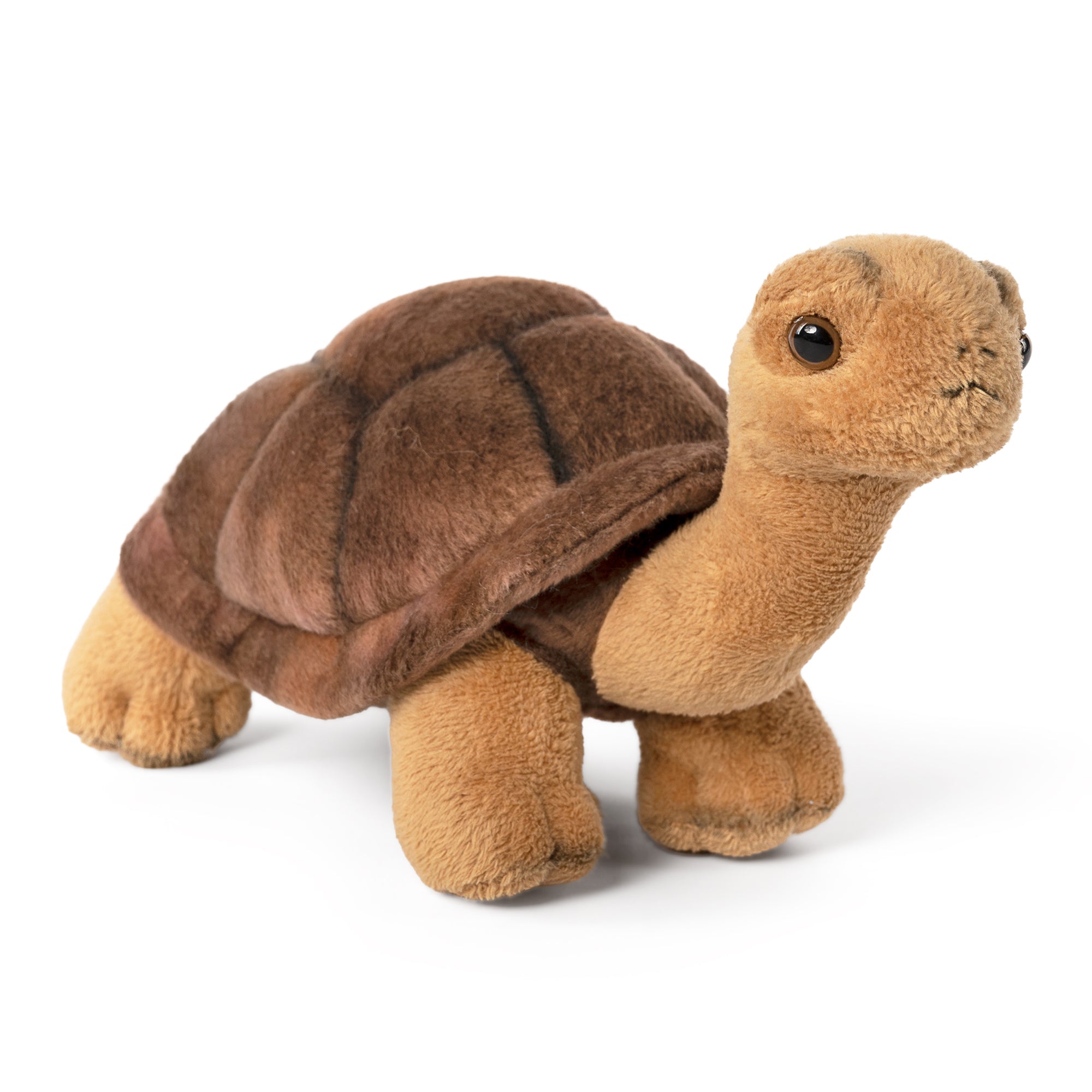 Side to front view image of tortoise plush toy in standing position with light brown legs and head and dark brown shell, on white background.