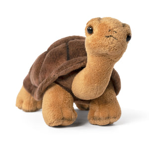 Front view image of tortoise plush toy in standing position with light brown legs and head and dark brown shell, on white background.