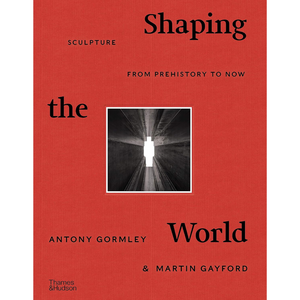 Image of front cover of book titled Shaping Sculpture, showing a red cover with black text.