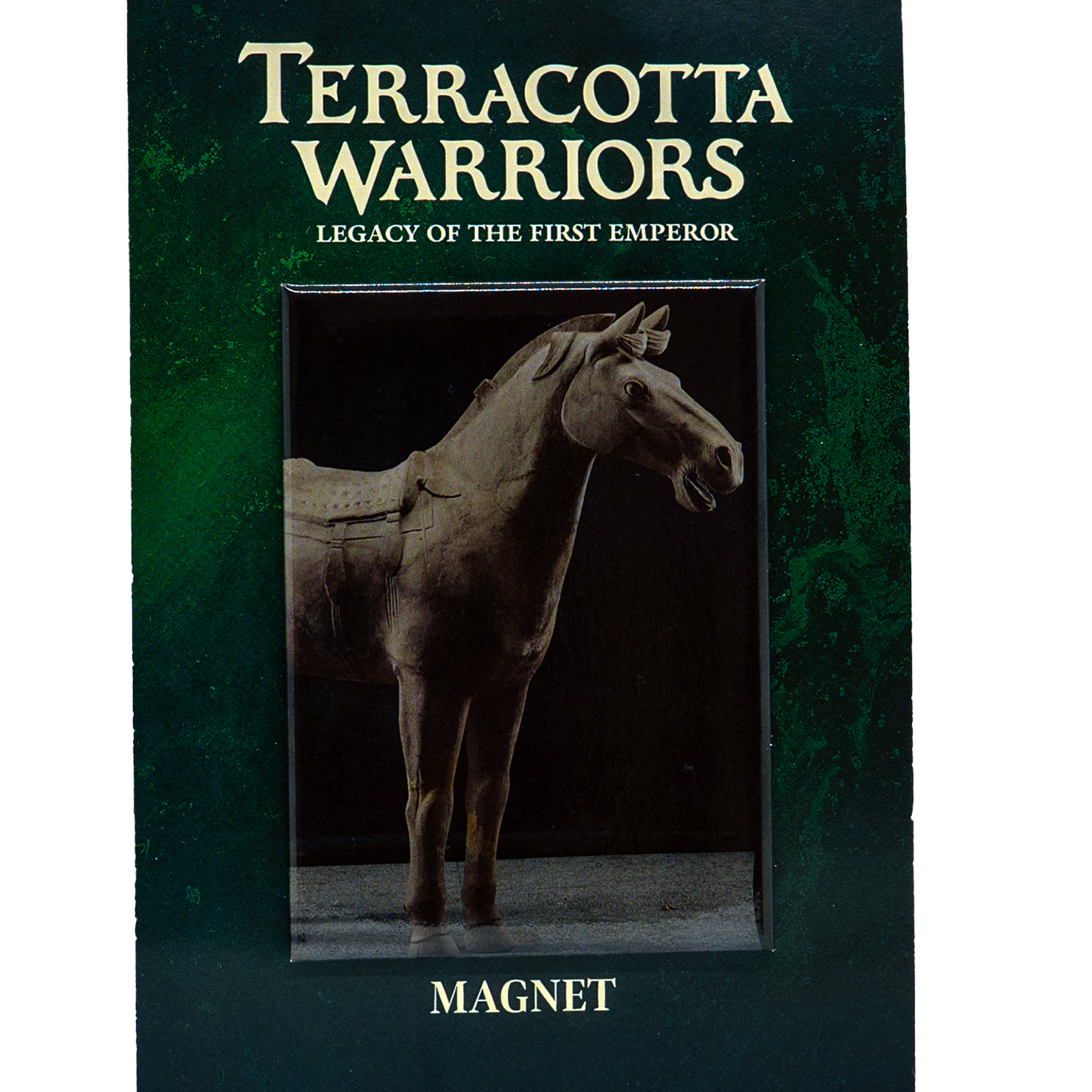 Magnet featuring a photograph of a real Terracotta Warrior horse statue, shown standing with detailed bridle and saddle. The background is dark green with the text “Terracotta Warriors: Legacy of the First Emperor – Magnet.”
