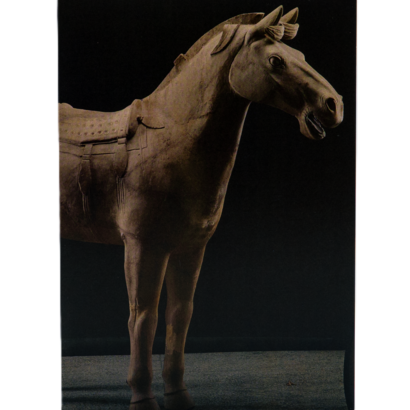 Notecard featuring a life-sized terracotta horse statue with detailed muscles and facial features, including ears, eyes, and open mouth, set against a dark background.