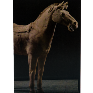 Notecard featuring a life-sized terracotta horse statue with detailed muscles and facial features, including ears, eyes, and open mouth, set against a dark background.