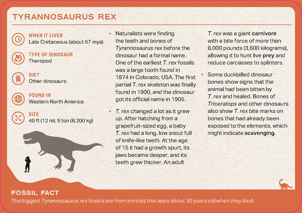 Image of back of card from the Dinosaur Deck showing information about Tyrannosaurus Rex