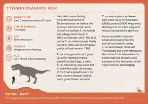Image of back of card from the Dinosaur Deck showing information about Tyrannosaurus Rex