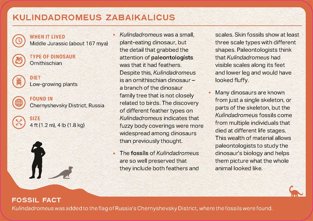 Image of back of card from the Dinosaur Deck showing information about Kulindadromeus Zabaikalicus