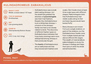 Image of back of card from the Dinosaur Deck showing information about Kulindadromeus Zabaikalicus