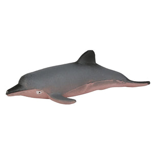 Dolphin growing pet