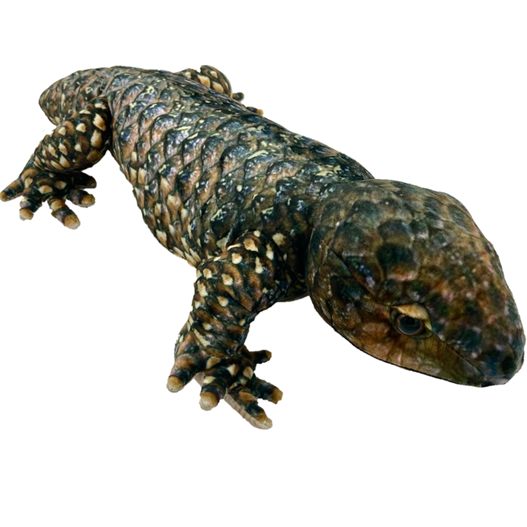 bobtail lizard plush toy