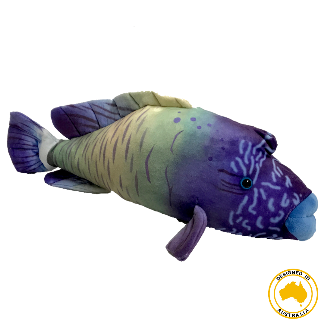 Fish plush toy sales