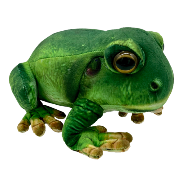 Francis Tree Frog
