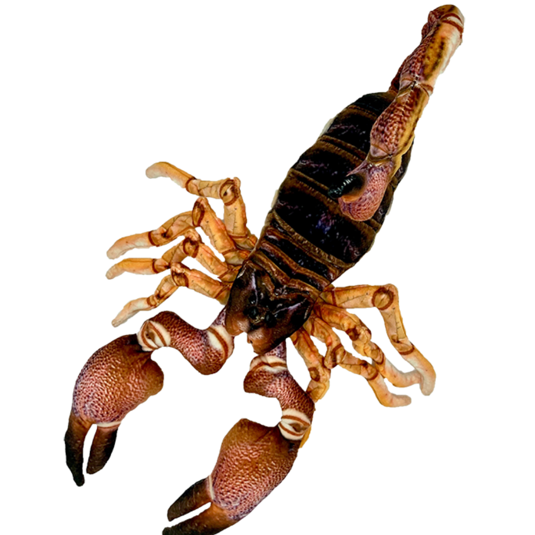Spike the Scorpion Plush