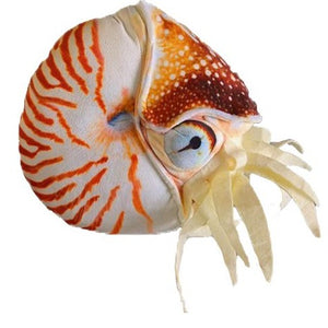 White shell plush toy with orange stripes