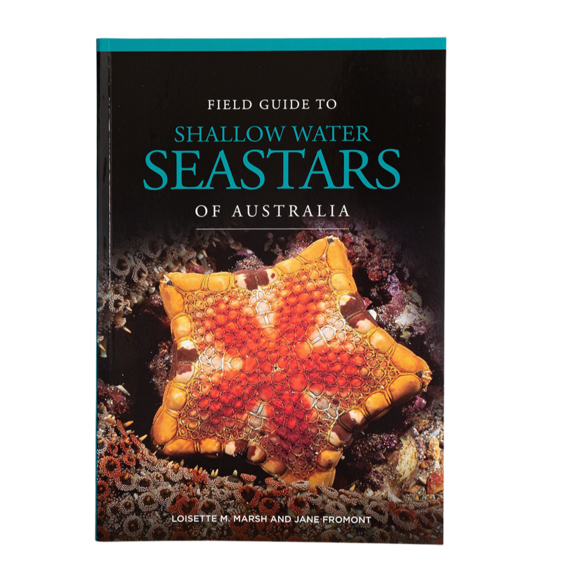 Field Guide to Shallow Water Seastars of Australia by Loisette M. Marsh and Jane Fromont