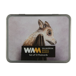 Set of 12 Postcards in a Tin: Bats - Family Portraits by Campbell Whyte - WA Museum Exclusive