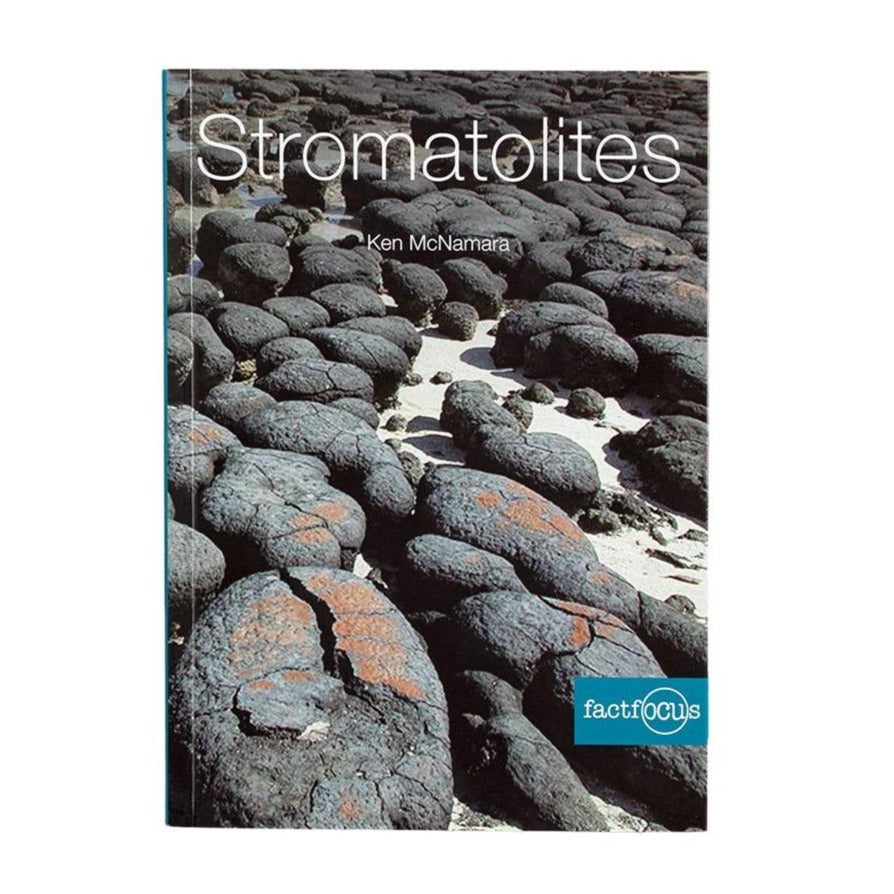 Fact Focus Stromatolites Ken McNamara