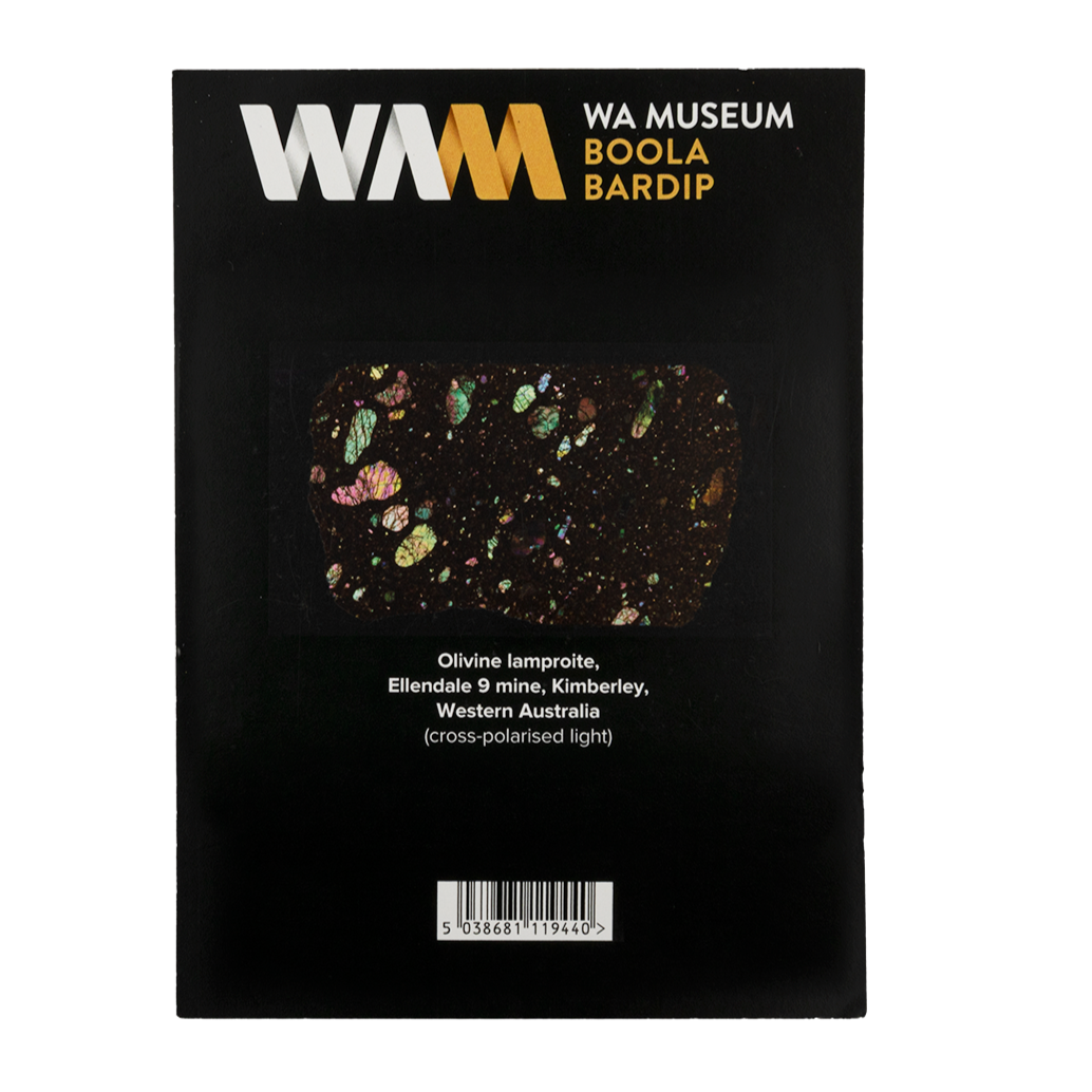 Magnet: Kaleidoscope Olivine Lamproite WA - WA Museum Exclusive