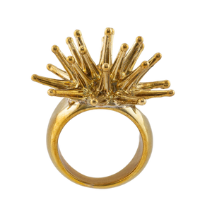 Spikey Seed Pod Ring