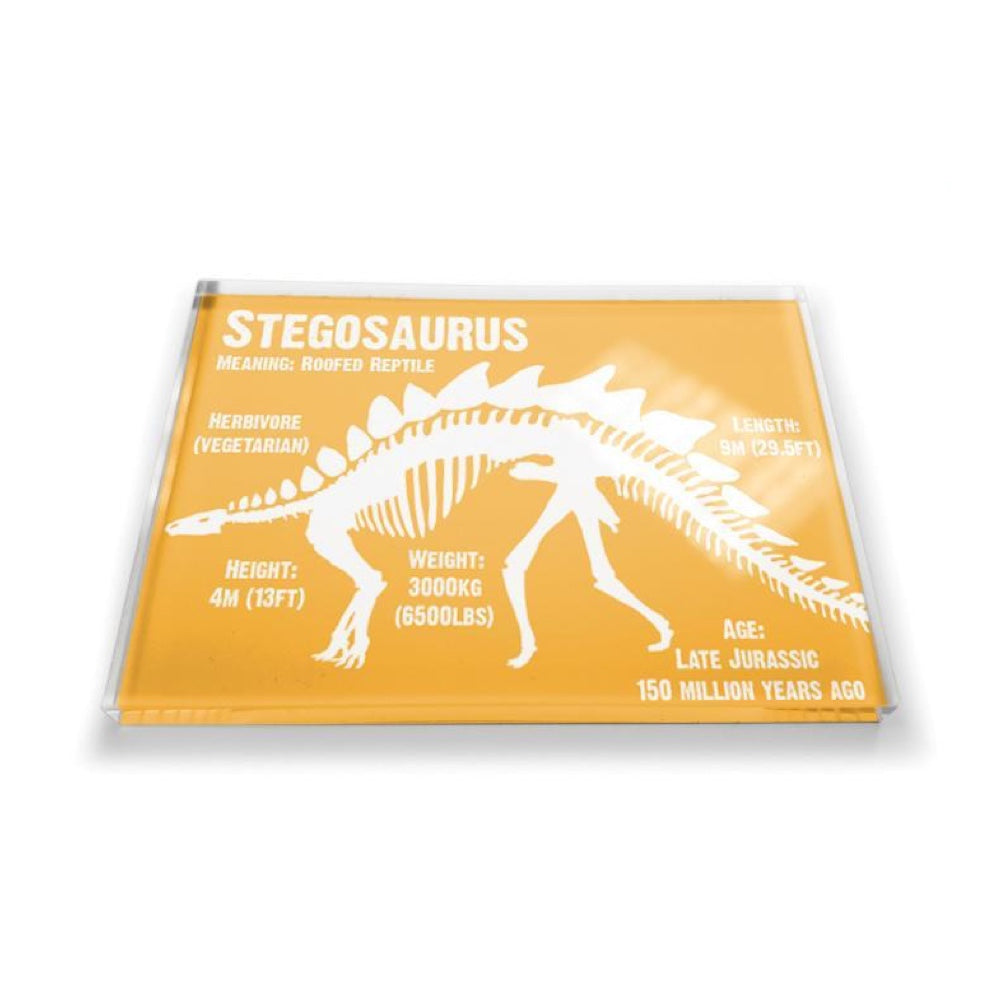 Acrylic Dinosaur Magnet: Stegosaurus