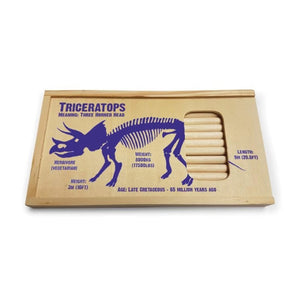 Dinosaur Pencil Box: Triceratops with 12 Colour Pencils