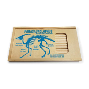 Dinosaur Pencil Box: Parasaurolophus with 12 Colour Pencils