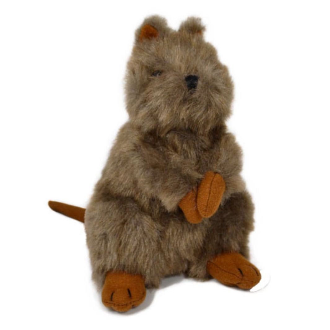 Chuckles The Quokka 16cm Western Australian Museum Store