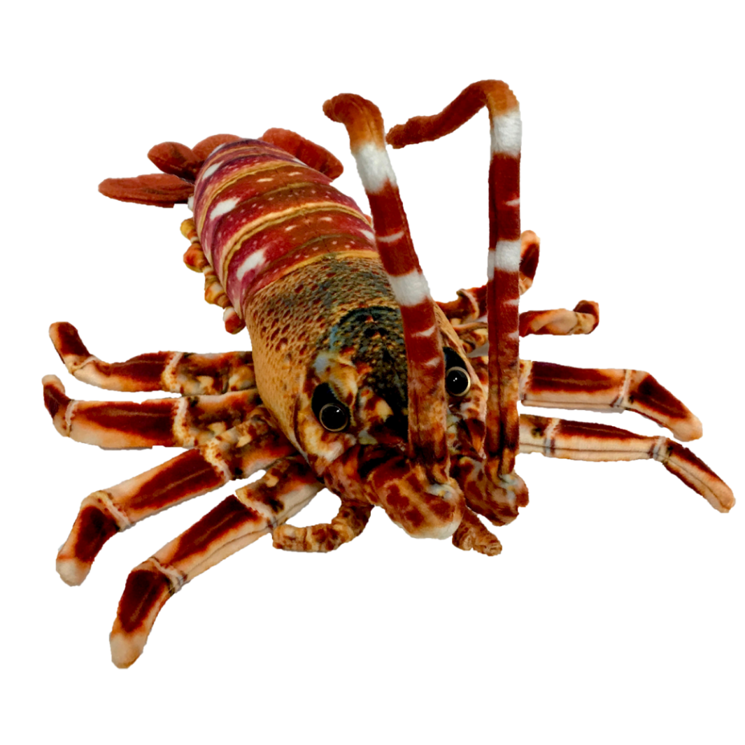 Lobster Orange Plush Corney Crayfish 