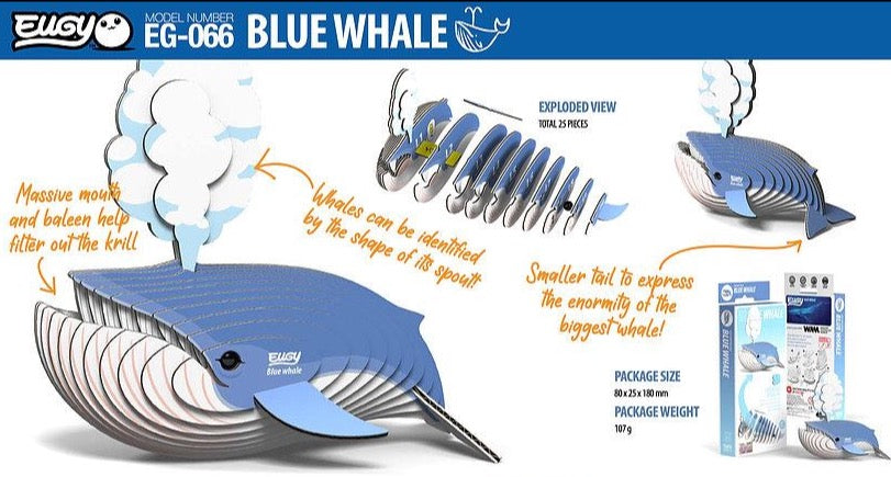 EUGY blue whale model kit (EG-066) with an exploded view of 25 assembly pieces, educational annotations, and product packaging shown.