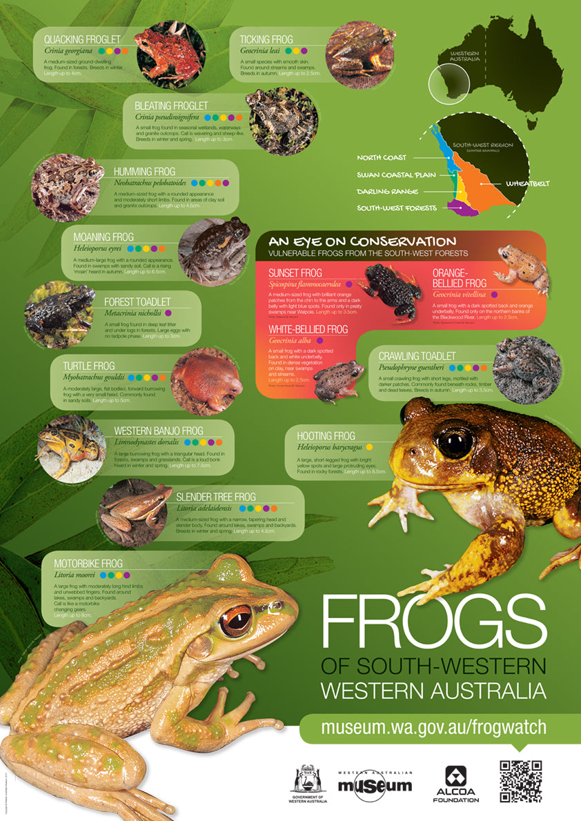 Frogs of South-Western Western Australia Poster