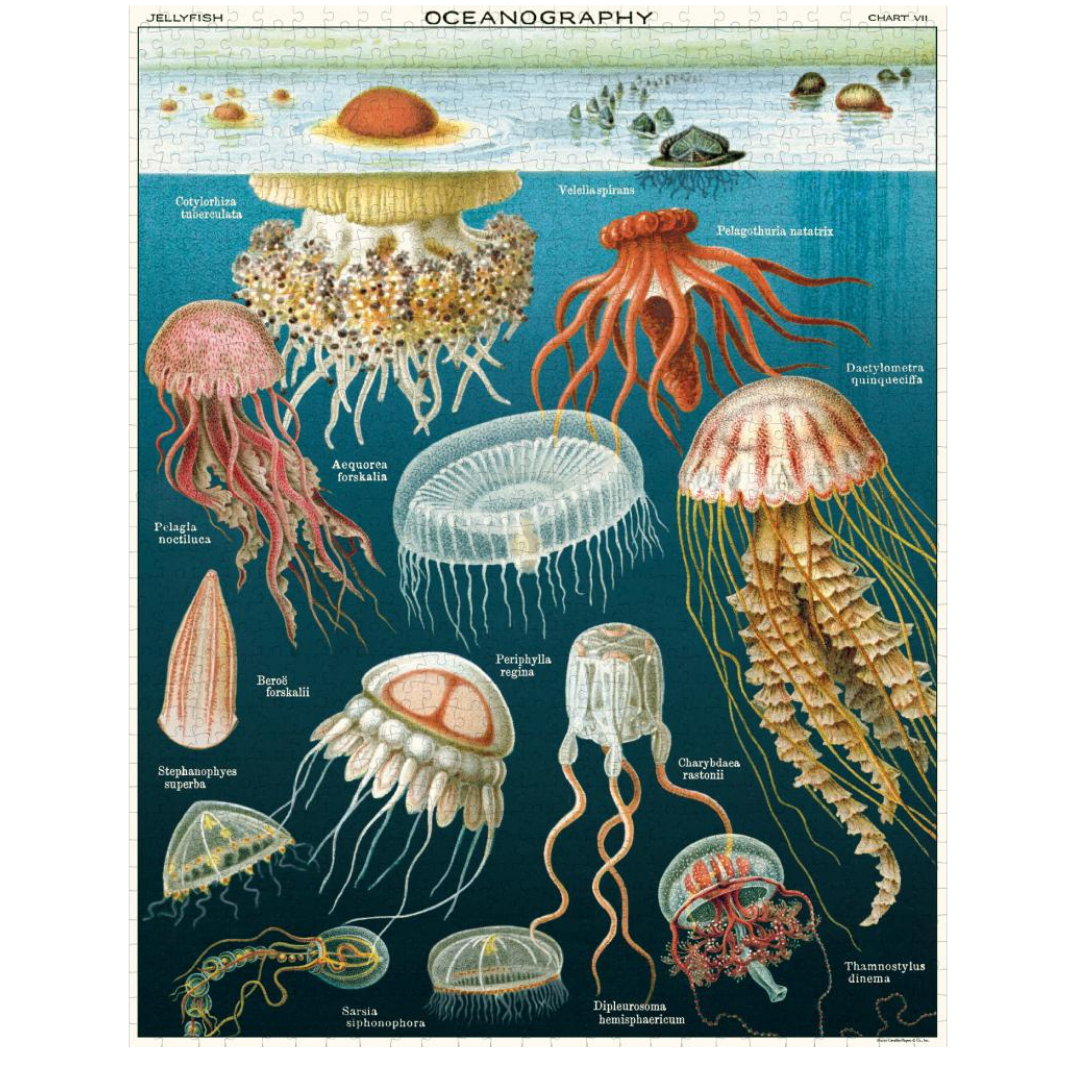 Puzzle: Jellyfish Puzzle 1000 pce - Cavallini