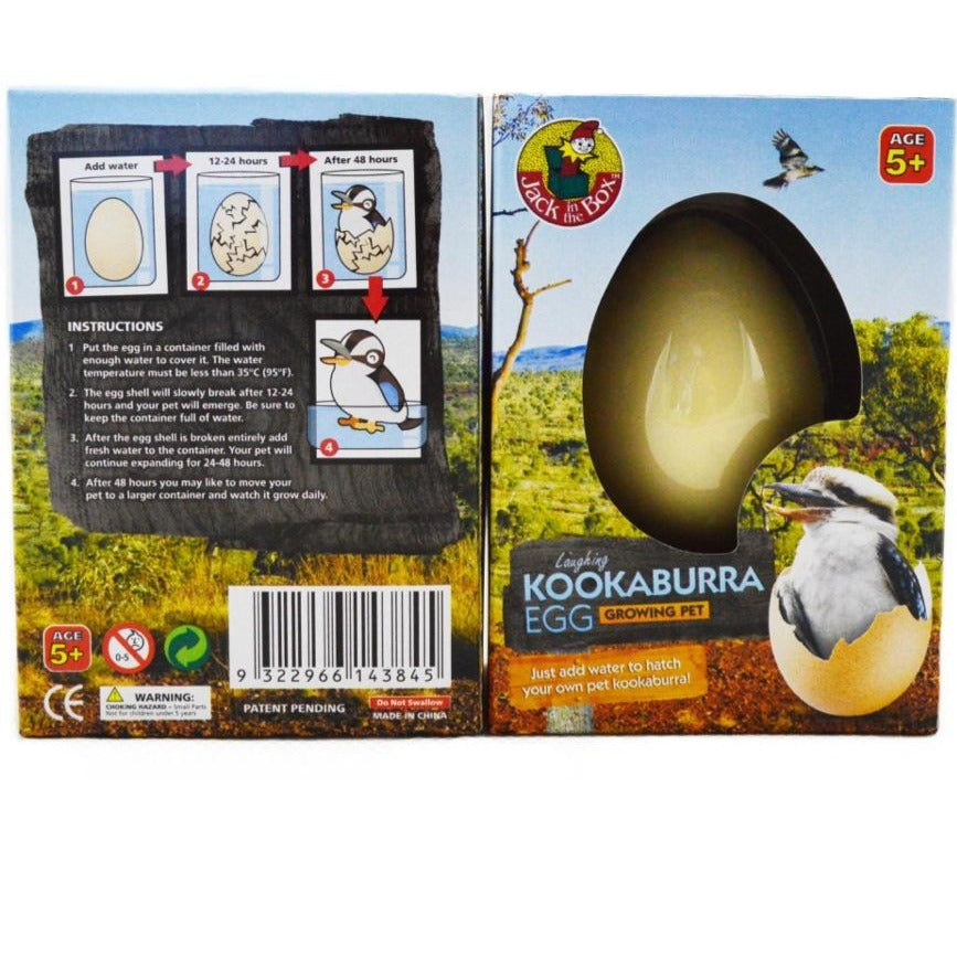 Kookaburra growing egg