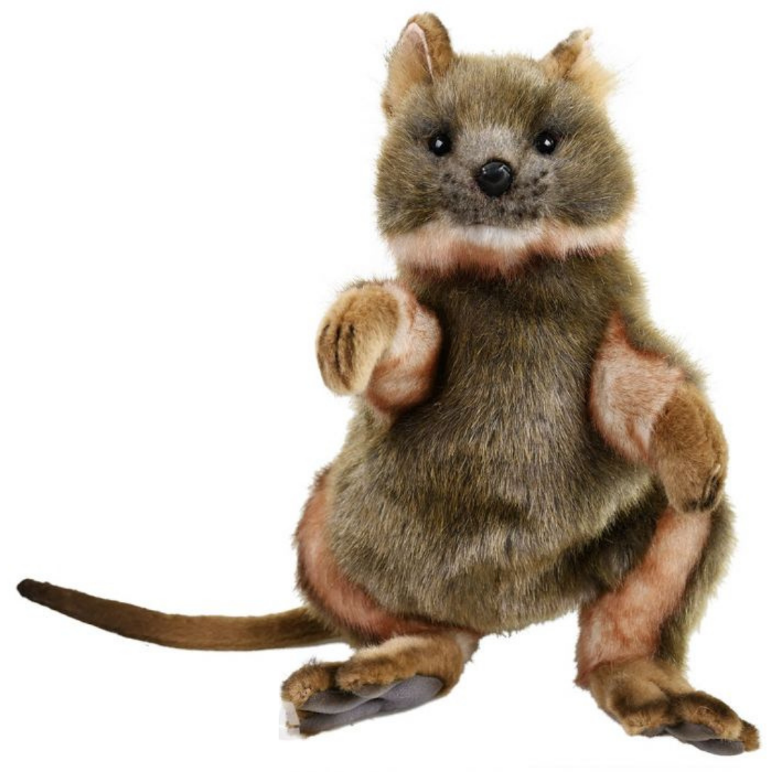 Quokka Puppet Realistic Plush by Hansa Creations