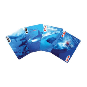 3D Moving Motion Shark Playing Cards