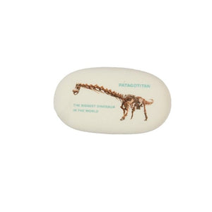 Eraser: Patagotitan Skeleton: WA Museum Exclusive