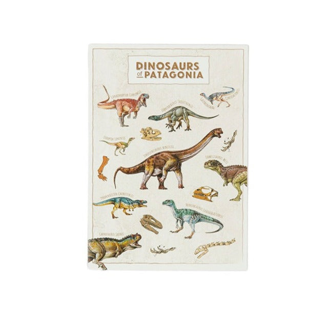 A6 Card: Dinosaurs of Patagonia: WA Museum Exclusive