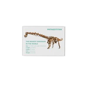 Oblong Magnet Patagotitan Skeleton: WA Museum Exclusive