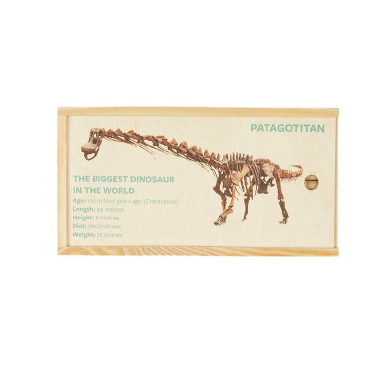 Wooden Pencil Box with 12 Coloured Pencils: Patagotitan Skeleton - WA Museum Exclusive