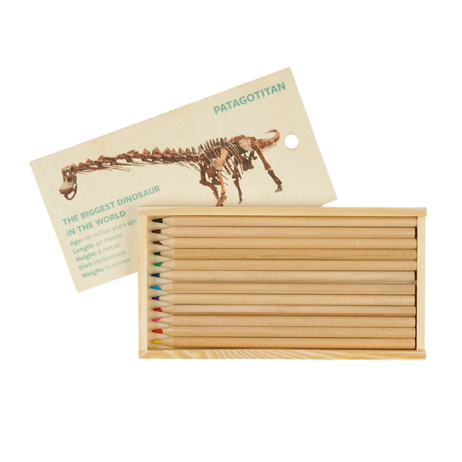 Wooden Pencil Box with 12 Coloured Pencils: Patagotitan Skeleton - WA Museum Exclusive