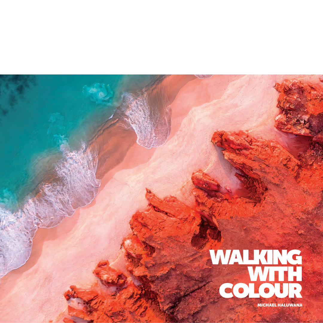 Walking with Colour: Aeroture by Michael Haluwana Exhibition Catalogue